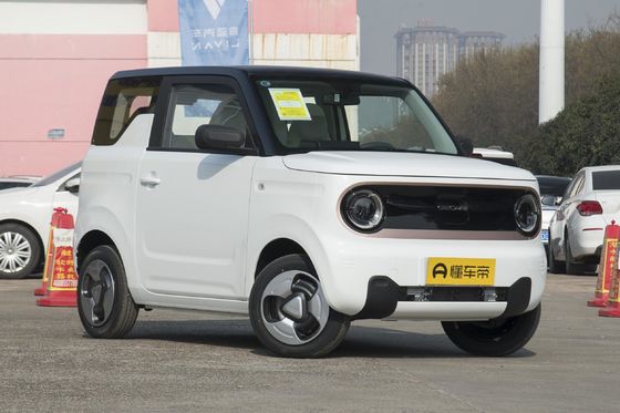 Μέγιστη ισχύς kw 40 Energy Cars Panda Mini 2023 2023ev Geely Pc 2023evev Κινέζικο Ηλεκτρικό Ev Car
