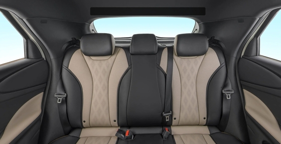 Byd Dolphin 2021 301km Vitality Edition EV Αριστερό τιμόνι Γρήγορο χρόνο φόρτισης 0,5 ώρα